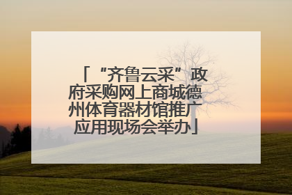“齐鲁云采”政府采购网上商城德州体育器材馆推广应用现场会举办