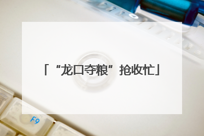 “龙口夺粮”抢收忙