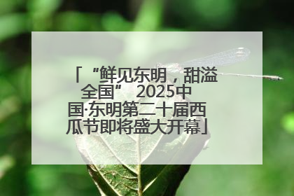 “鲜见东明，甜溢全国” 2025中国·东明第二十届西瓜节即将盛大开幕