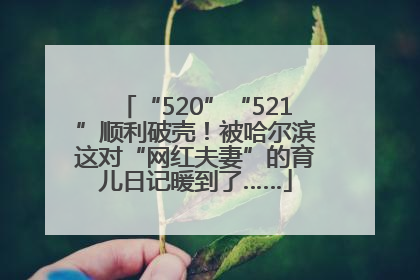 “520”“521”顺利破壳！被哈尔滨这对“网红夫妻”的育儿日记暖到了……