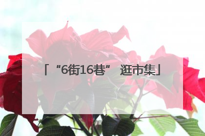 “6街16巷” 逛市集