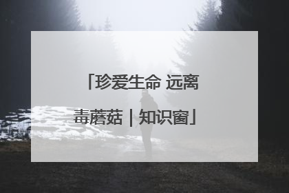 珍爱生命 远离毒蘑菇｜知识窗