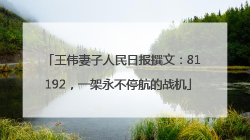 王伟妻子人民日报撰文：81192，一架永不停航的战机