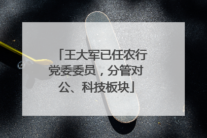 王大军已任农行党委委员，分管对公、科技板块