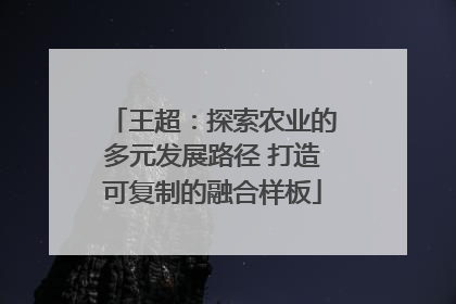 王超：探索农业的多元发展路径 打造可复制的融合样板