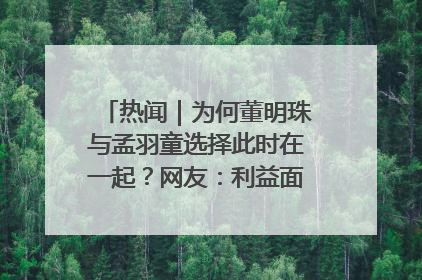 热闻｜为何董明珠与孟羽童选择此时在一起？网友：利益面前啥都能和解