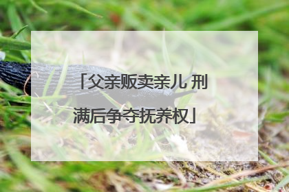 父亲贩卖亲儿 刑满后争夺抚养权