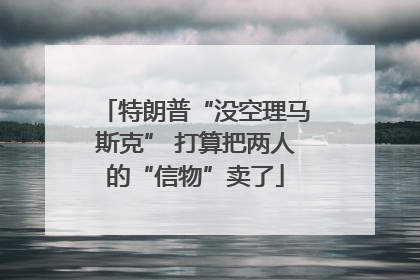 特朗普“没空理马斯克” 打算把两人的“信物”卖了