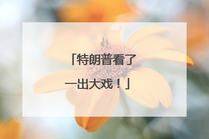 特朗普看了一出大戏！