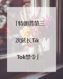 特朗普第三次延长TikTok禁令
