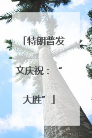 特朗普发文庆祝：“大胜”
