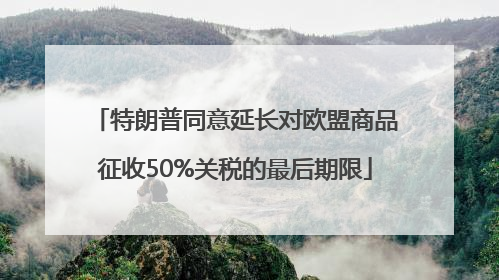 特朗普同意延长对欧盟商品征收50%关税的最后期限
