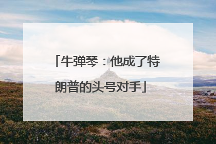 牛弹琴：他成了特朗普的头号对手