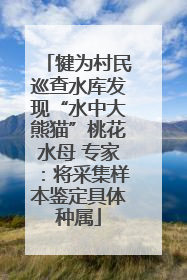 犍为村民巡查水库发现“水中大熊猫”桃花水母 专家：将采集样本鉴定具体种属