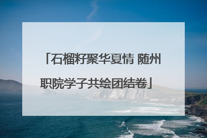 石榴籽聚华夏情 随州职院学子共绘团结卷