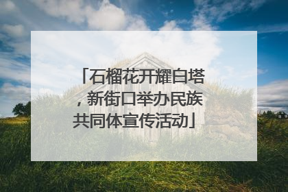 石榴花开耀白塔，新街口举办民族共同体宣传活动