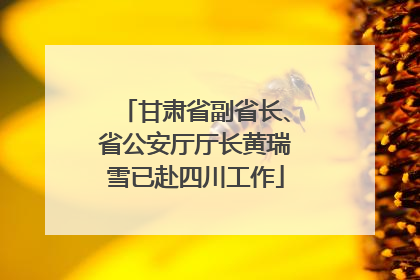 甘肃省副省长、省公安厅厅长黄瑞雪已赴四川工作