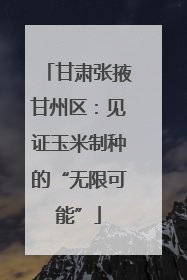 甘肃张掖甘州区：见证玉米制种的“无限可能”