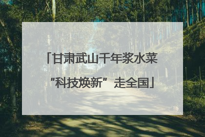 甘肃武山千年浆水菜“科技焕新”走全国