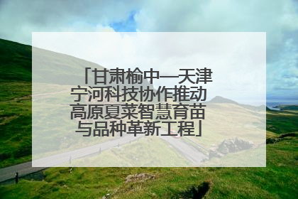 甘肃榆中—天津宁河科技协作推动高原夏菜智慧育苗与品种革新工程