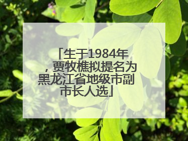 生于1984年，贾牧樵拟提名为黑龙江省地级市副市长人选