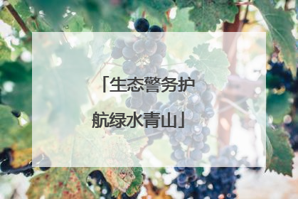 生态警务护航绿水青山