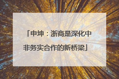申坤：浙商是深化中非务实合作的新桥梁