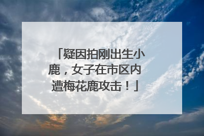 疑因拍刚出生小鹿，女子在市区内遭梅花鹿攻击！