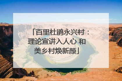 百里杜鹃永兴村：理论宣讲入人心 和美乡村焕新颜