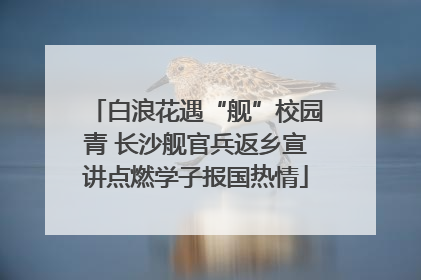 白浪花遇“舰”校园青 长沙舰官兵返乡宣讲点燃学子报国热情