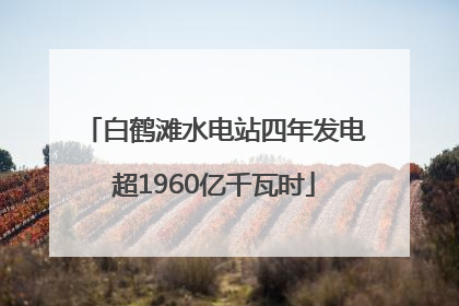 白鹤滩水电站四年发电超1960亿千瓦时