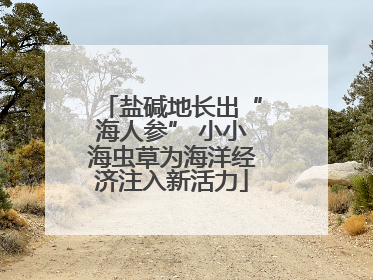 盐碱地长出“海人参” 小小海虫草为海洋经济注入新活力