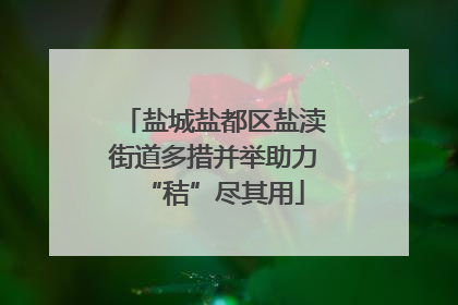 盐城盐都区盐渎街道多措并举助力“秸”尽其用