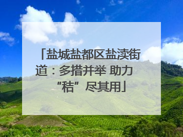 盐城盐都区盐渎街道：多措并举 助力“秸”尽其用