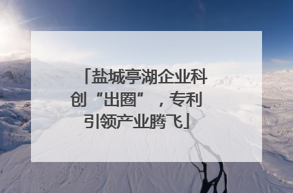 盐城亭湖企业科创“出圈”，专利引领产业腾飞