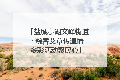 盐城亭湖文峰街道：粽香艾草传温情 多彩活动聚民心