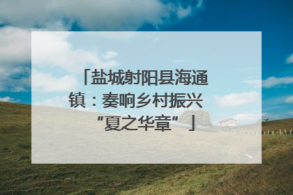 盐城射阳县海通镇：奏响乡村振兴“夏之华章”