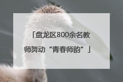 盘龙区800余名教师舞动“青春师韵”