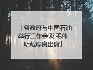 省政府与中国石油举行工作会谈 毛伟明戴厚良出席