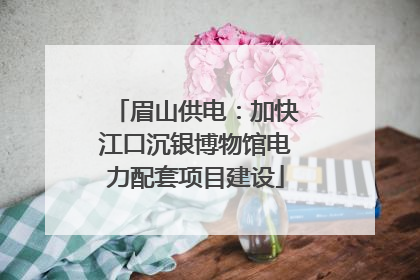 眉山供电：加快江口沉银博物馆电力配套项目建设