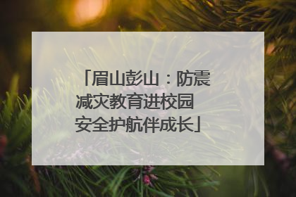 眉山彭山：防震减灾教育进校园 安全护航伴成长