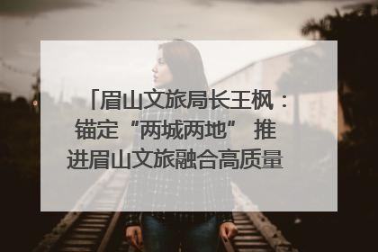 眉山文旅局长王枫：锚定“两城两地” 推进眉山文旅融合高质量发展｜文旅局长说
