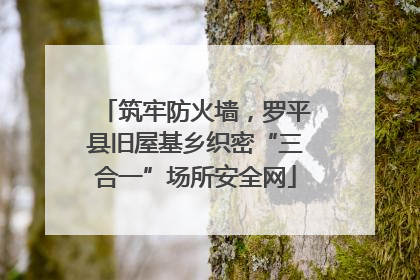 筑牢防火墙，罗平县旧屋基乡织密“三合一”场所安全网
