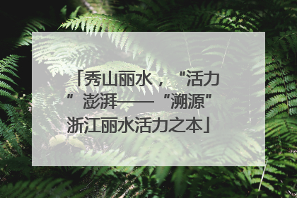 秀山丽水，“活力”澎湃——“溯源”浙江丽水活力之本