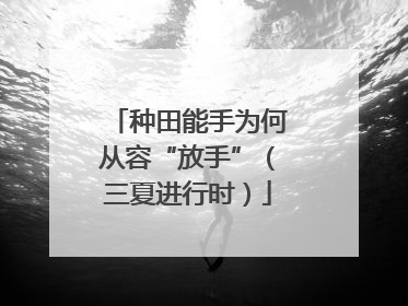 种田能手为何从容“放手”（三夏进行时）