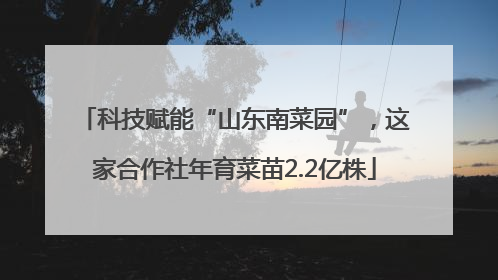 科技赋能“山东南菜园”，这家合作社年育菜苗2.2亿株