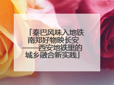 秦巴风味入地铁 南郑好物映长安——西安地铁里的城乡融合新实践