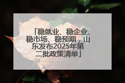 稳就业、稳企业、稳市场、稳预期，山东发布2025年第二批政策清单