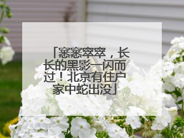 窸窸窣窣，长长的黑影一闪而过！北京有住户家中蛇出没