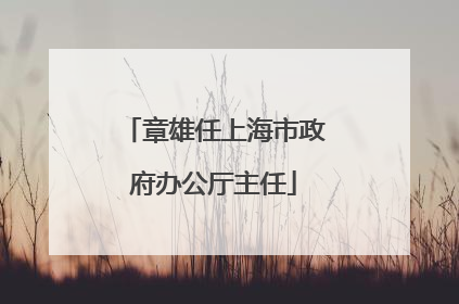 章雄任上海市政府办公厅主任